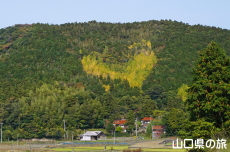 n[g̃C`E
