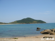 ���₩�猩�����R