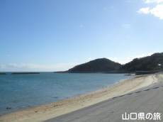 ���Z���l