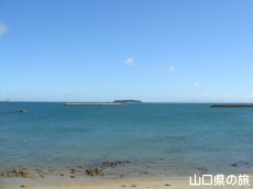 ���Z���l