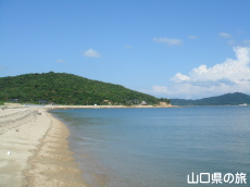 ���Z���l