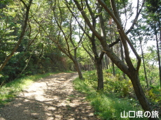 ���R�V����