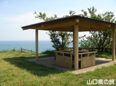 ���R���������̓���