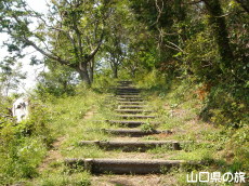 ���R�����̗V����