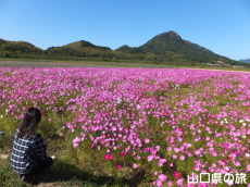 �H��񓇂̃R�X���X��