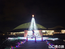 �����X�|�[�c�𗬌����C���~�l�[�V����