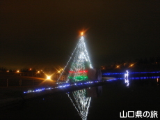 �����X�|�[�c�𗬌����C���~�l�[�V����