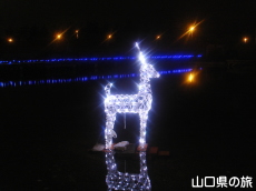 �����X�|�[�c�𗬌����C���~�l�[�V����