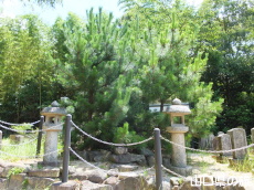 ���P�l��