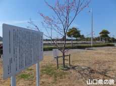 ���̉w����炠�����̔�����