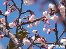 �������ƃ��W��