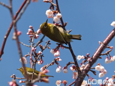 �������ƃ��W��