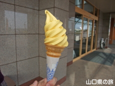 ���ڂ���\�t�g