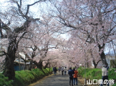 ���������{�̂������