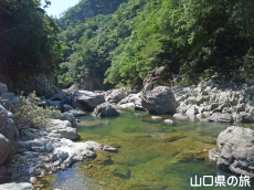 ���e����(����΂��ǂ�����)