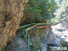 ���勬�V����