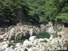 �Ѓ���(���₪�Ԃ�)