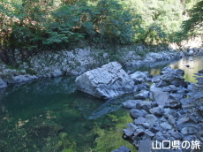 ��a�����E���a����