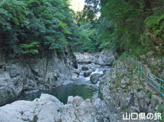 ���f���e