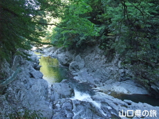 ���f���e