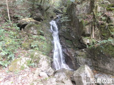 �����̑�