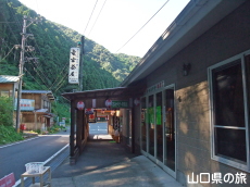 ���{����