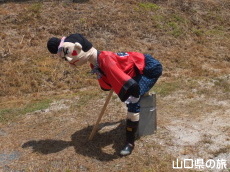 �ÔN�������Ղ�2014