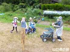 �ÔN�������Ղ�2014