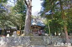 �ЎR�V�_�̃X�M