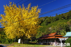 ���_�Ђ̃C�`���E