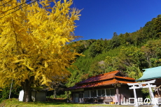 ���_�Ђ̃C�`���E