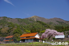 �_�p�̂������