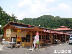 ̉w萬A(j[AO)