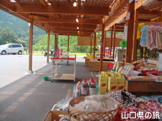 ̉w萬A(j[AO)