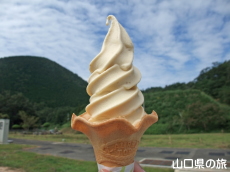 肨낵񂲃\tgN[