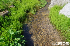 水出の泉