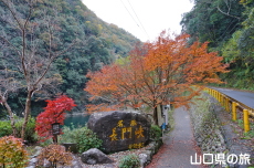 ���勬�̍g�t