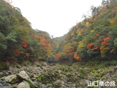 ���勬�̍g�t