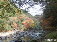 ���勬�̍g�t