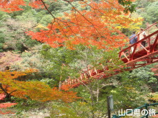 ���勬�̍g�t