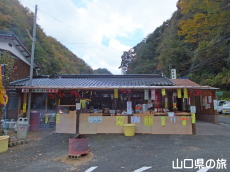 ���{������