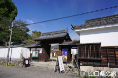 �g�쎑����