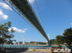 䉺L