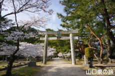 �u�s��R�_�В���