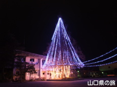 �E�B���^�[�C���~�l�[�V����