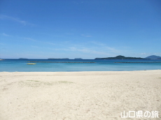 菊ヶ浜海水浴場