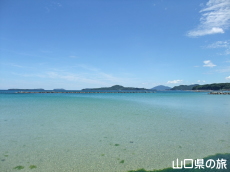 菊ヶ浜海水浴場