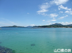 �e���l�C������
