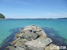 菊ヶ浜海水浴場