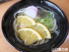 夏みかんうどん
